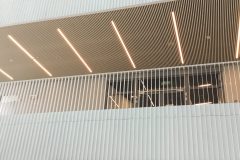 image00011