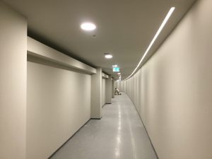 IMG-5036